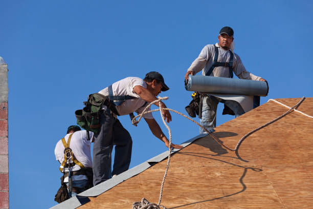 Best Roof Gutter Cleaning  in Douglas, MI