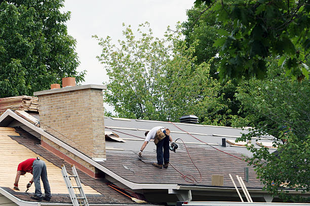 Best New Roof Installation  in Douglas, MI