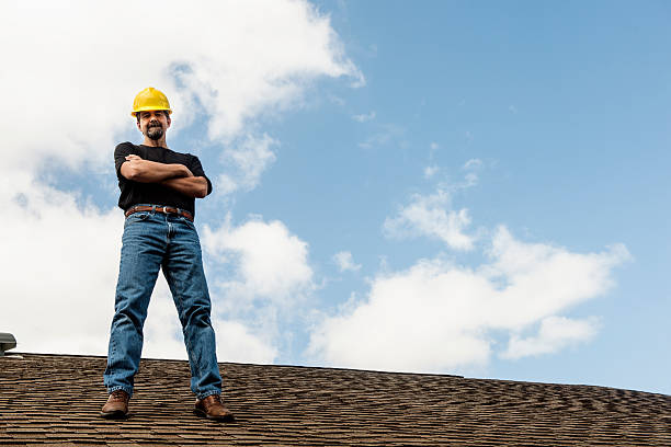 Best Storm Damage Roof Repair  in Douglas, MI