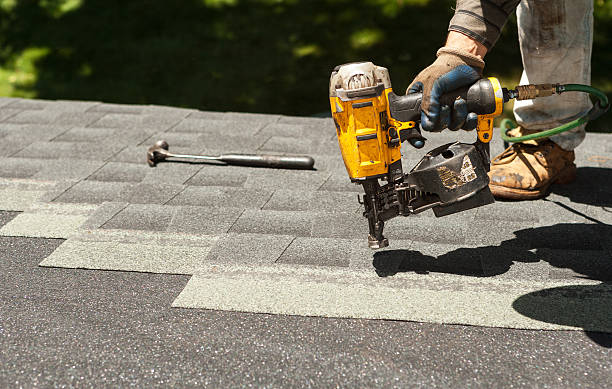 Best Metal Roofing Contractor  in Douglas, MI