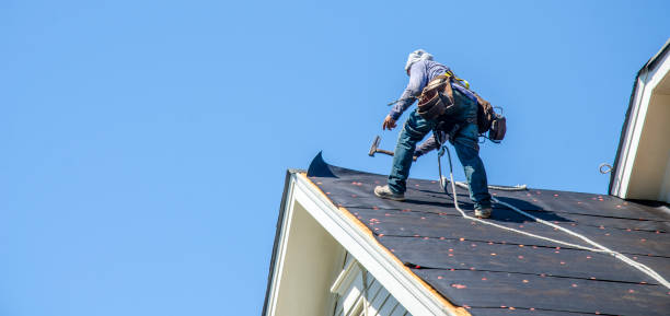 Best Roof Repair Specialists  in Douglas, MI